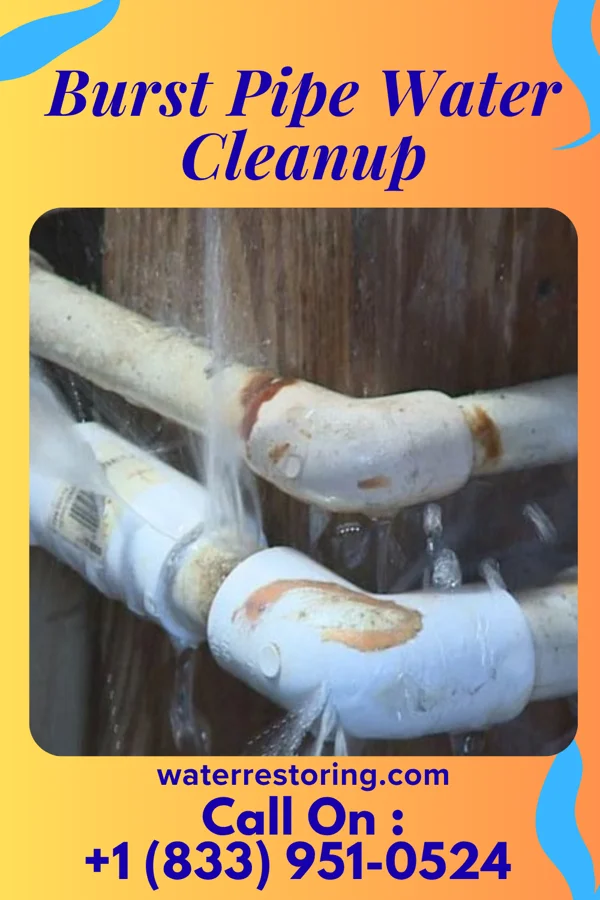 Burst Pipe Water Cleanup in Donegal, PA