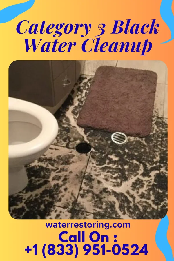 Category 3 Black Water Cleanup in Donegal, PA