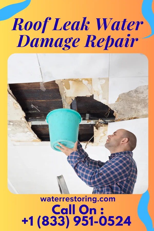 Roof Leak Water Damage Repair in Donegal, PA