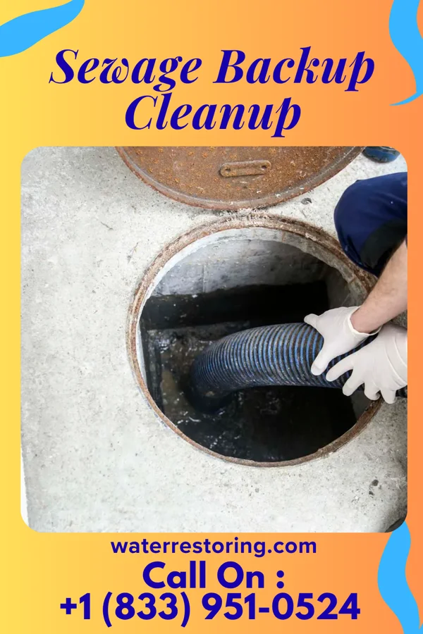 Sewage Backup Cleanup in Donegal, PA