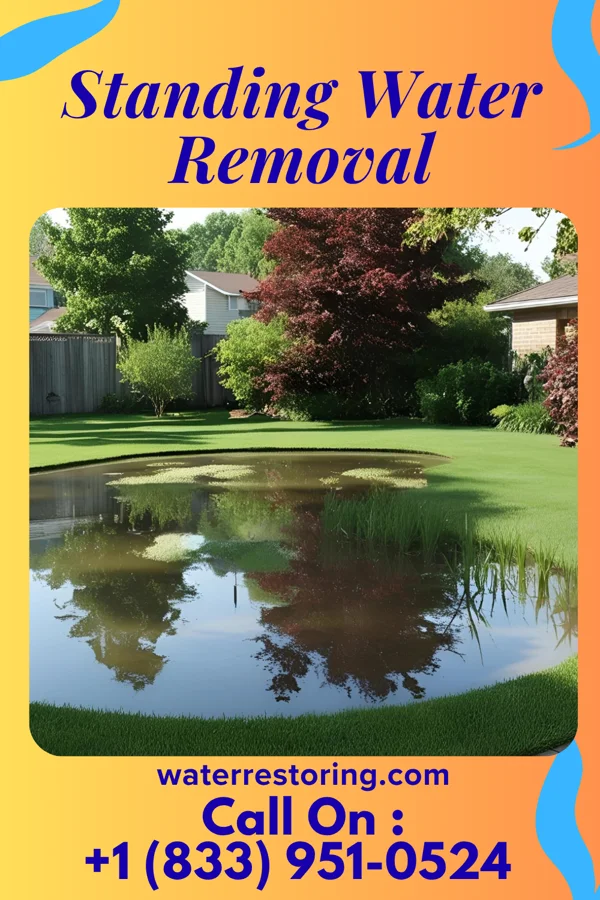 Standing Water Removal in Donegal, PA